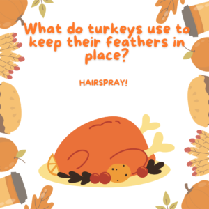 What do turkeys use to keep their feathers in place?