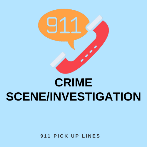 Crime Scene/Investigation