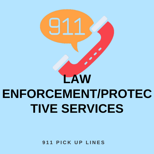 Law Enforcement/Protective Services