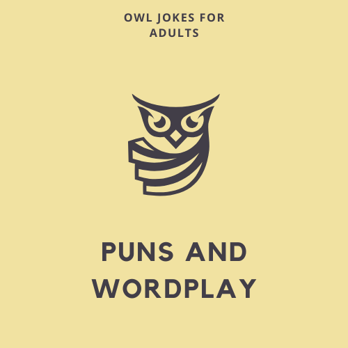 Puns and Wordplay