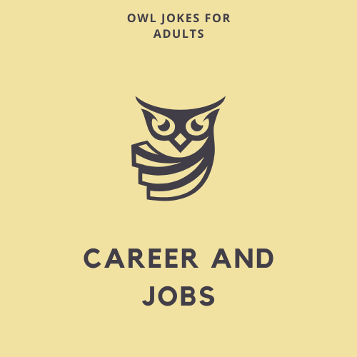 Career and Jobs