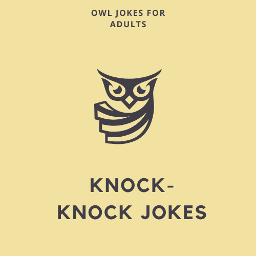 Knock-Knock Jokes