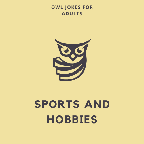 Sports and Hobbies