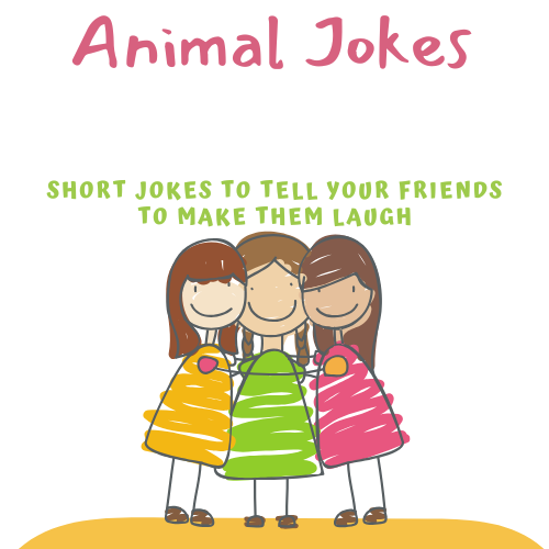 Animal Jokes