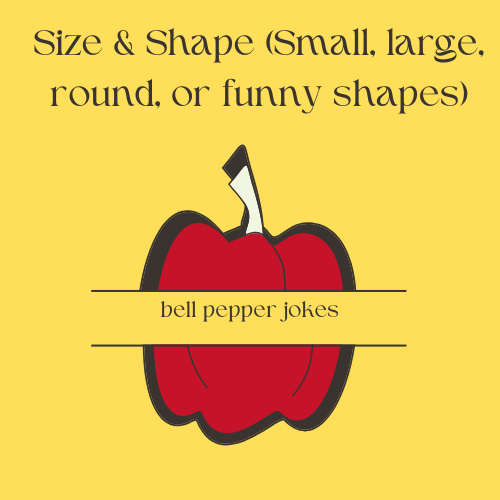 Size & Shape (Small, large, round, or funny shapes)