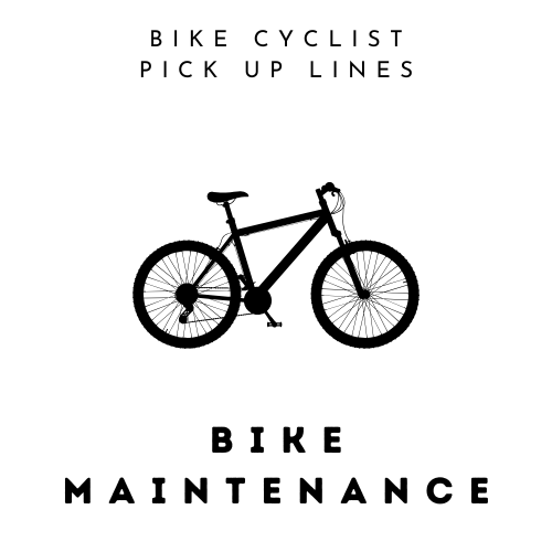 Bike Maintenance