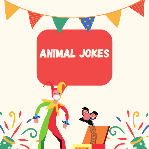 Animal Jokes