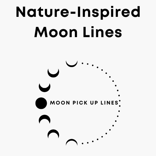 Nature-Inspired Moon Lines