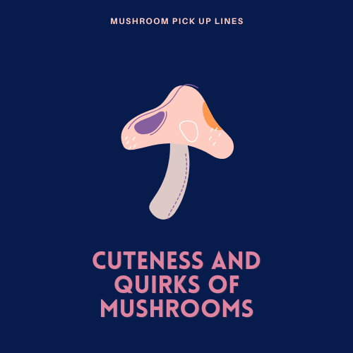 Cuteness and Quirks of Mushrooms