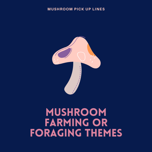 Mushroom Farming or Foraging Themes