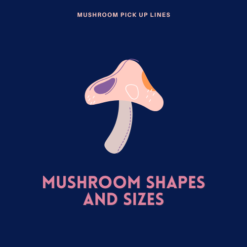 Mushroom Shapes and Sizes