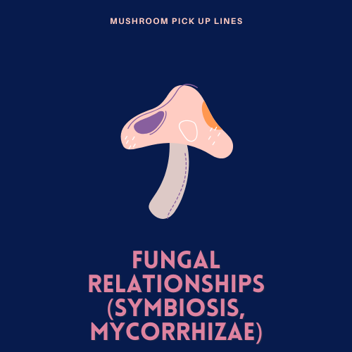 Fungal Relationships (Symbiosis, Mycorrhizae)