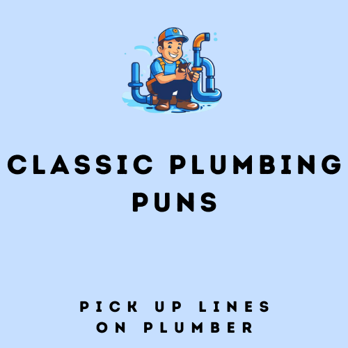 Classic Plumbing Puns