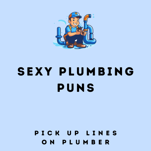 Sexy Plumbing Puns