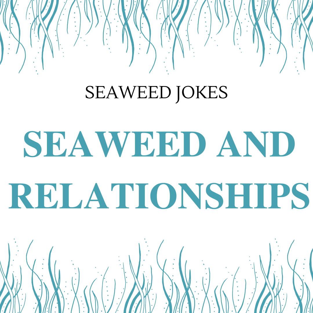 Seaweed and Relationships