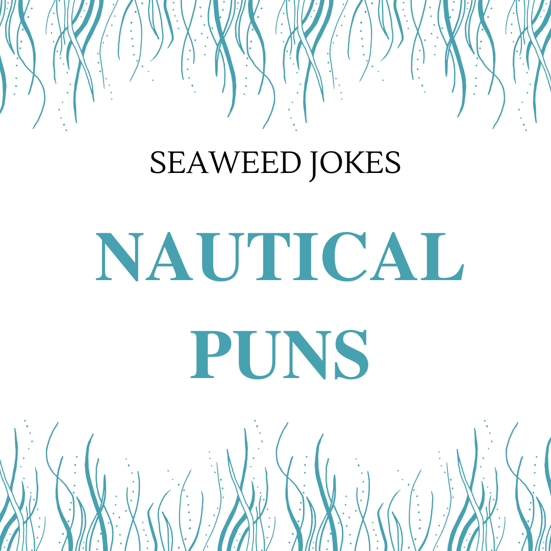 Nautical Puns