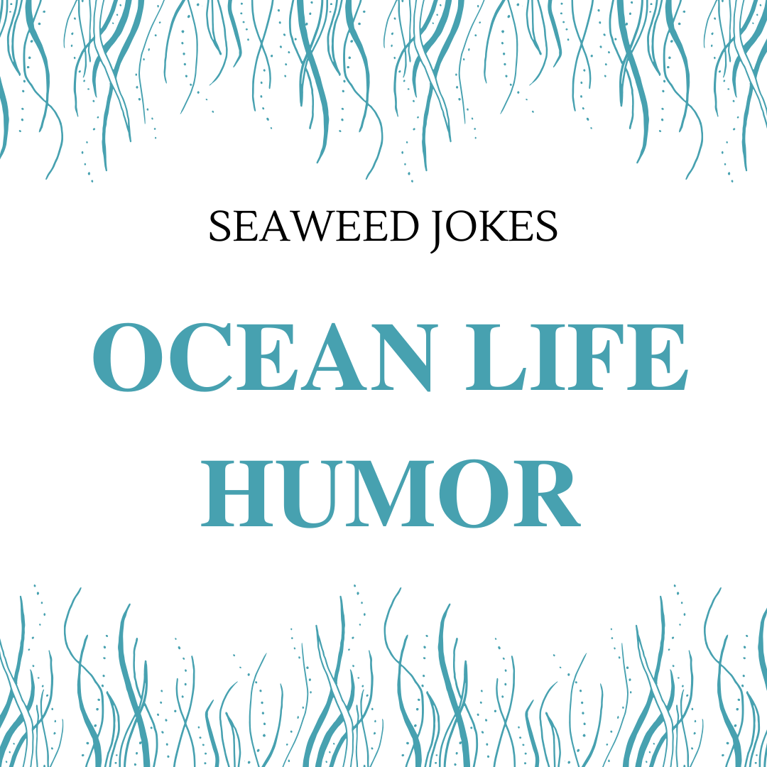 Ocean Life Humor