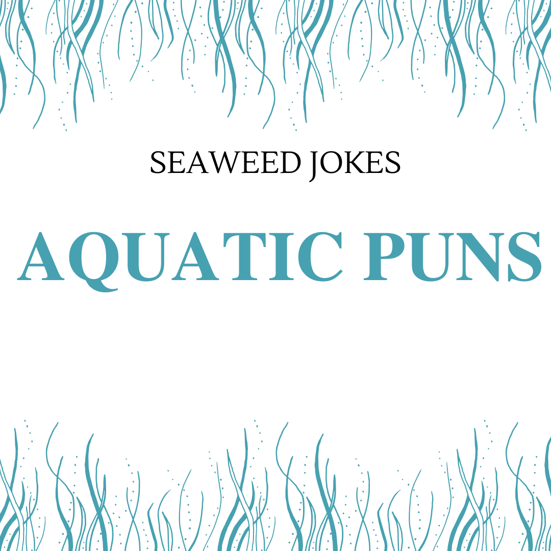 Aquatic Puns