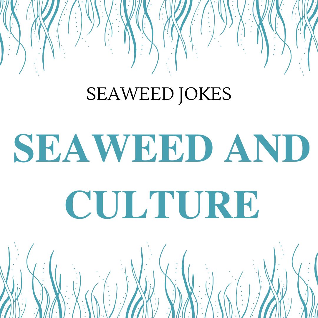 Seaweed and Culture