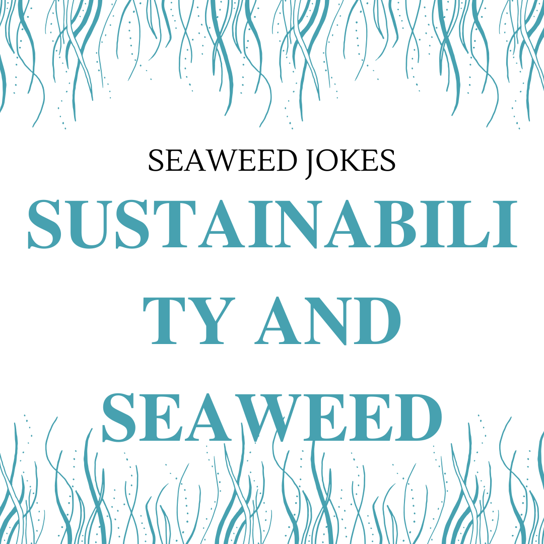 Sustainability and Seaweed