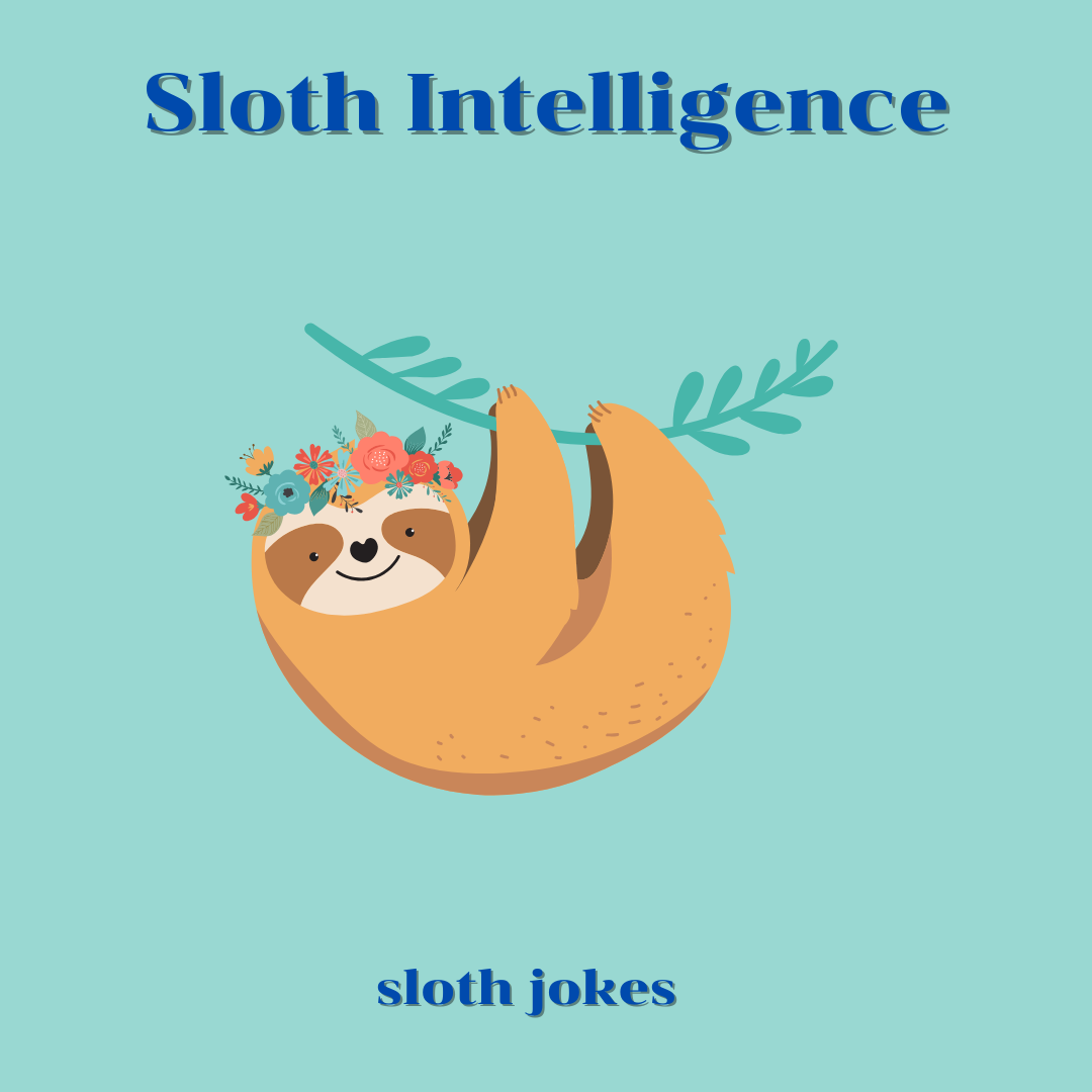 Sloth Intelligence