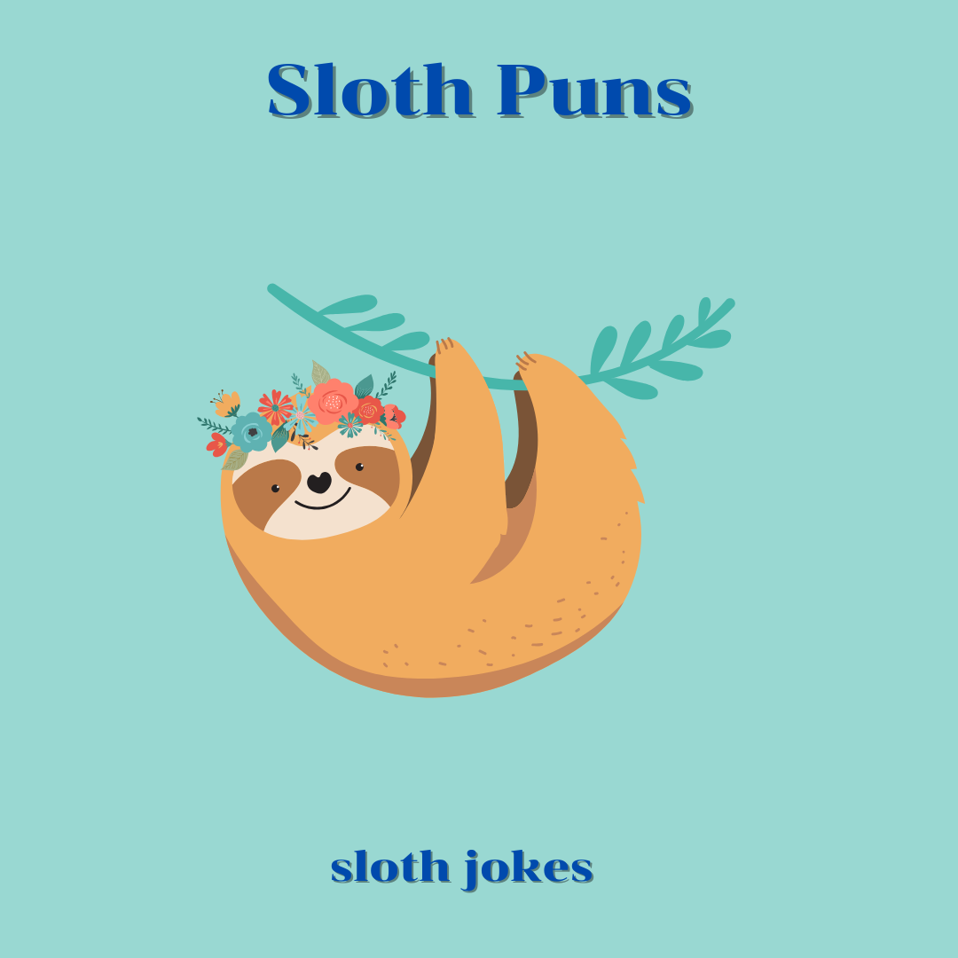 Sloth Puns