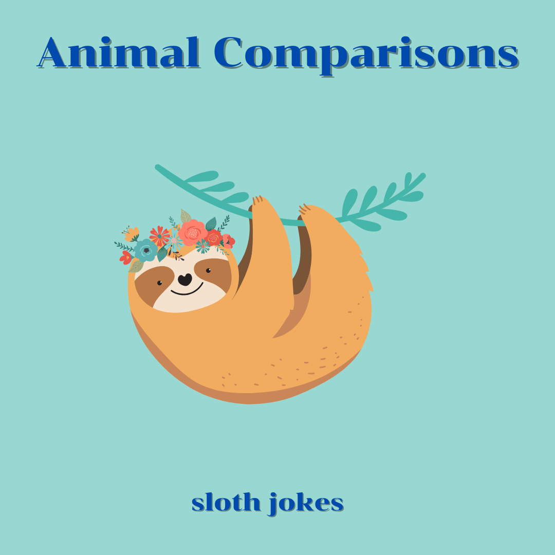 Animal Comparisons