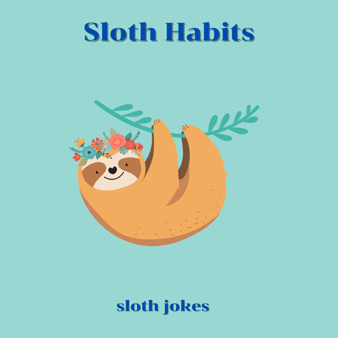 Sloth Habits