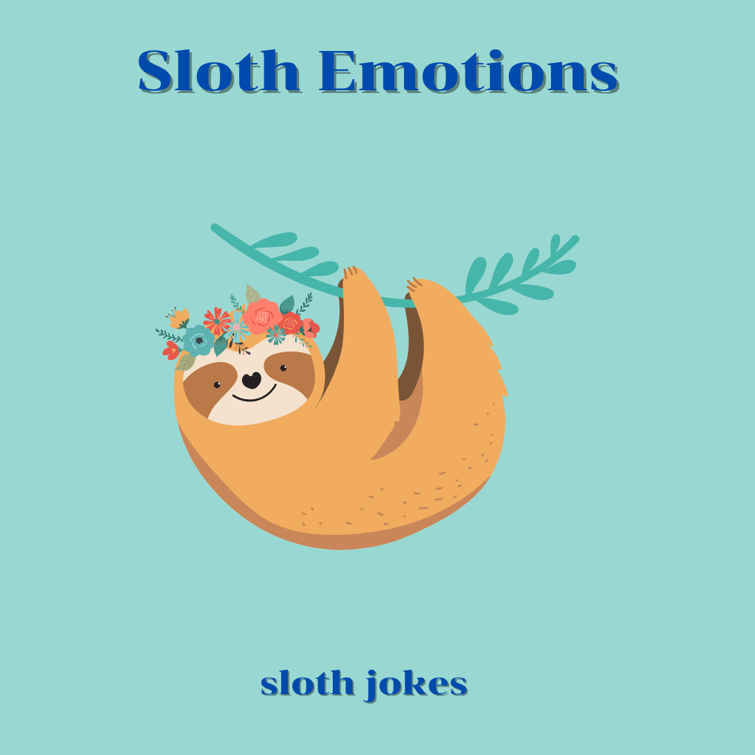 Sloth Emotions