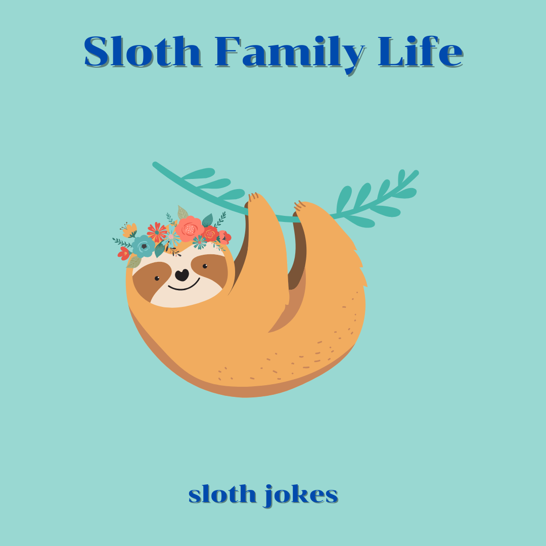 Sloth Family Life