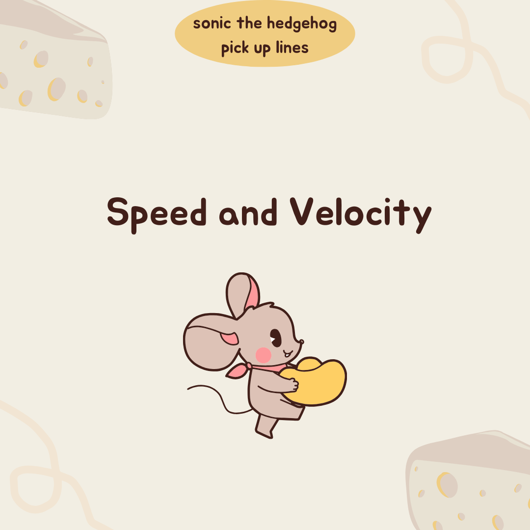 Speed and Velocity