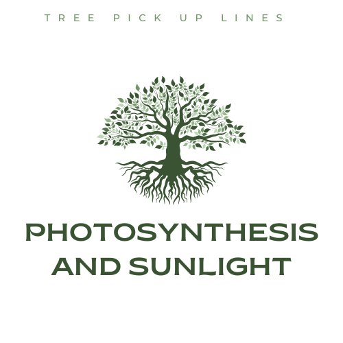 Photosynthesis and Sunlight