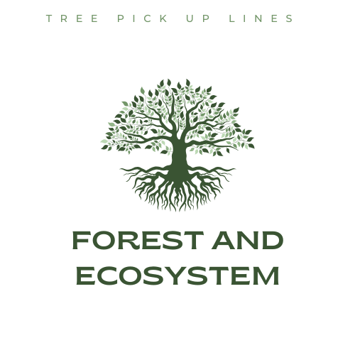 Forest and Ecosystem