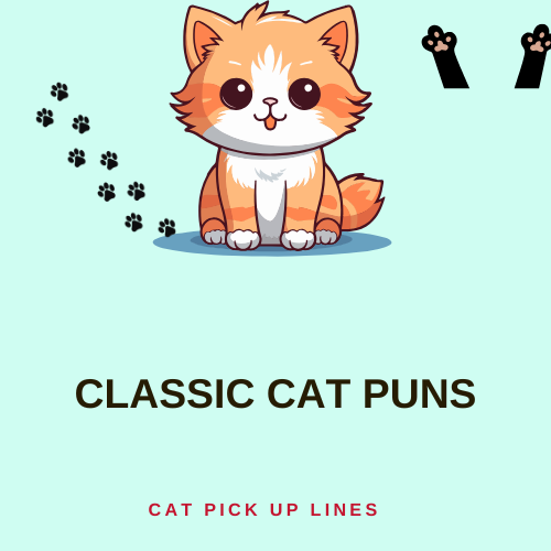 Classic Cat Puns