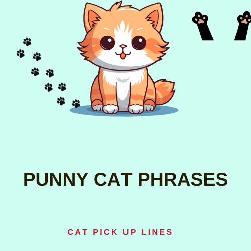 Punny Cat Phrases