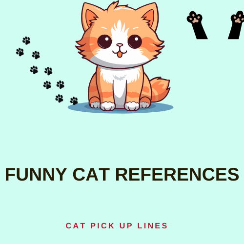 Funny Cat References