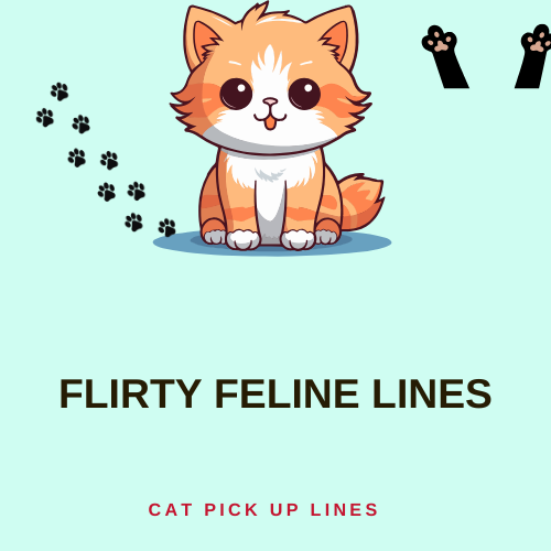 Flirty Feline Lines