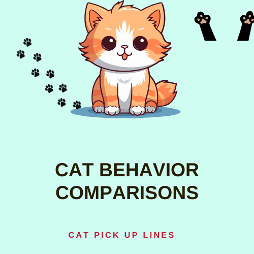 Cat Behavior Comparisons