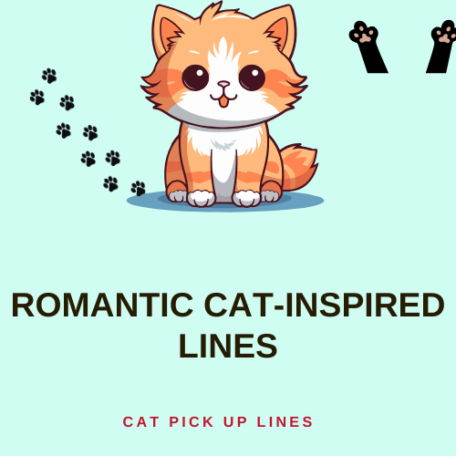 Romantic Cat-Inspired Lines