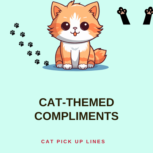 Cat-Themed Compliments