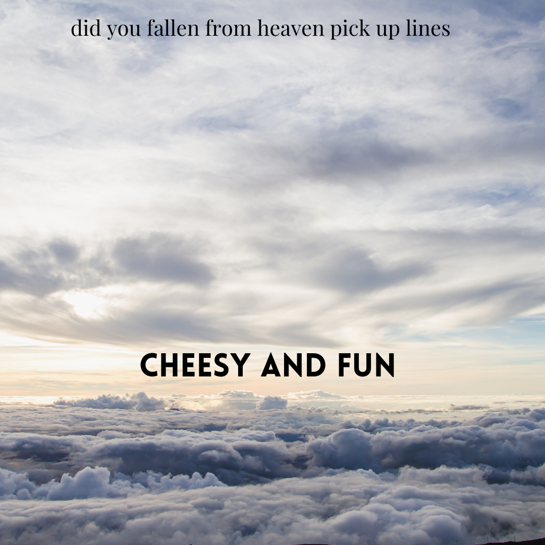 Cheesy and Fun