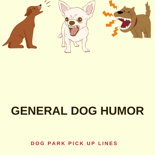 General Dog Humor