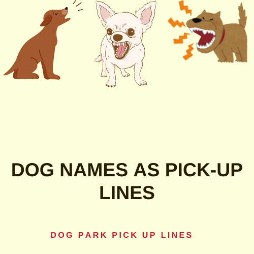 Dog Names as Pick-Up Lines