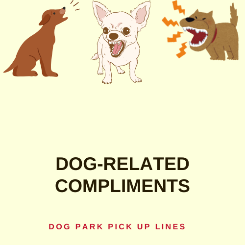 Dog-Related Compliments