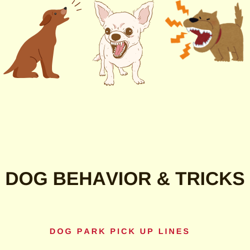 Dog Behavior & Tricks