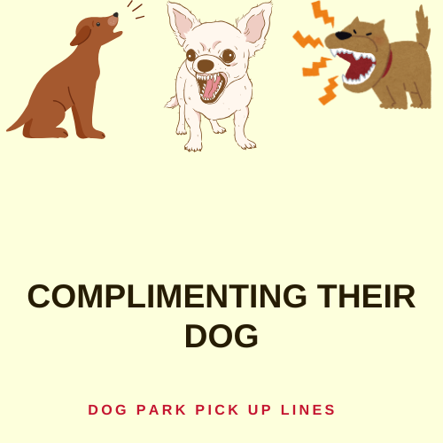 Complimenting Their Dog