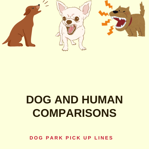 Dog and Human Comparisons