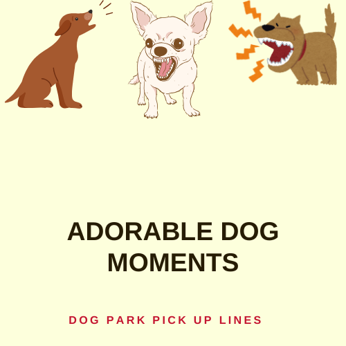 Adorable Dog Moments