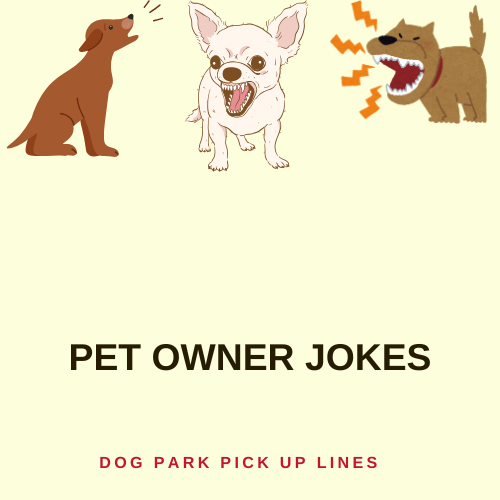 Pet Owner Jokes