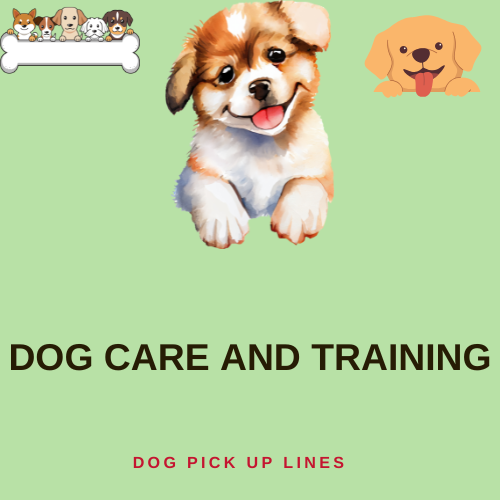 Dog Care and Training